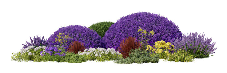 garden shrubs isolated on transparent background