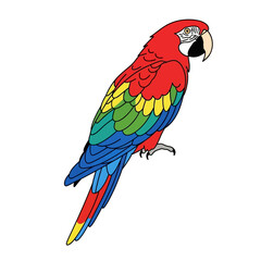 Fototapeta premium Vibrant macaw parrot artwork with bright colors, ideal for children's books and tropical-themed designs featuring exotic birds and wildlife conservation