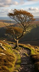 Resilient Tree on Grassy Hillside - A Landscape of Natures Strength.