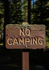 No Camping Sign in Forest - A Clear Prohibition.