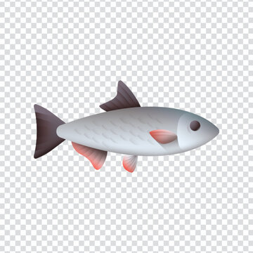 Nasus Unicorn Fish Icon