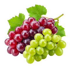 Fototapeta premium A bunch of ripe red, purple and green grapes with leaves, isolated on black