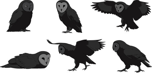 MobileDark barn owl silhouette, flying owl vector, wildlife illustration, nocturnal bird pose, black owl clipart, animal anatomy reference, predator art