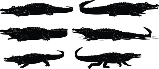 MobileCrocodile silhouette vector, alligator reptile illustration, wild predator animal, dangerous reptile art, wildlife design, swamp reptile graphic, nature predator shape, animal silhouette