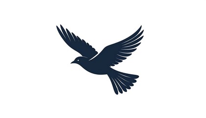 Obraz premium Silhouette of a soaring bird
