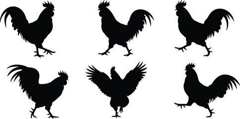 MobileRooster silhouette set, farm bird vector, black chicken pose collection, poultry animal design, isolated cock illustration, walking standing flapping