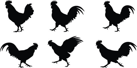 MobileRooster silhouette set, farm bird vector, poultry animal icon, black chicken shapes, crowing cock poses, rural livestock illustration