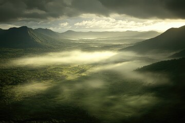 Misty valley between forested mountains at dawn