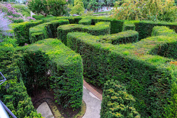 Hedge maze in gardens of Trauttmansdorff Castle near Merano, South Tyrol, Italy
