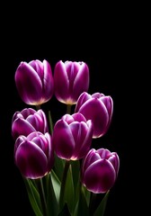 Elegant Purple Tulips Against a Dark Backdrop - A Floral Still Life.