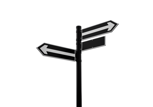 Directional Signpost with Arrows | Path Choice, Decision Making, Future Guidance Icon
