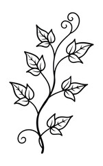 Simple black and white line drawing of a climbing vine with leaves and tendrils