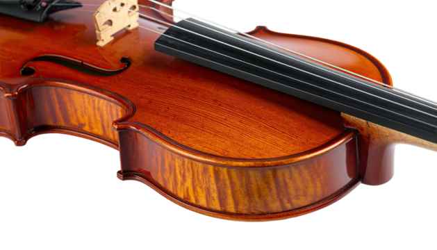 Close-up of a beautiful, varnished stringed instrument, side view, on a dark backdrop