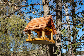 Wooden Bird Feeder Hanging on Tree Branch