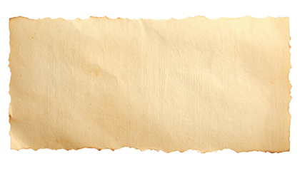 A rectangular piece of aged, textured paper with a rough, burnt edge