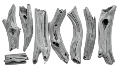 Seven weathered wooden pieces of varying shapes and sizes, in shades of gray