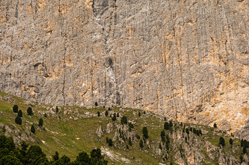 nature sceneries along a trail inside the Catinaccio mountain range, Dolomites, Val di Fassa, Trento, Italy