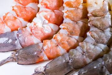 Close up of dotted texture on shrimp 