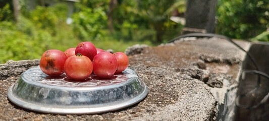 The bright red, round cherries are displayed in a metal container against a backdrop of green trees and a bright outdoor setting.