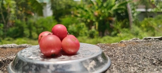 The bright red, round cherries are displayed in a metal container against a backdrop of green trees and a bright outdoor setting.