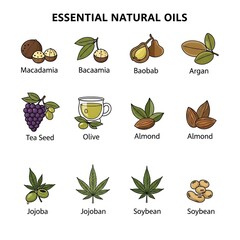 Essential Natural Oils - Macadamia, Argan, Jojoba, and More.