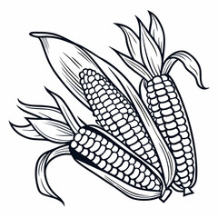  corn vector