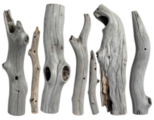 Seven pieces of weathered driftwood, gray and textured, isolated on black