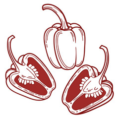 cherry pepper vector