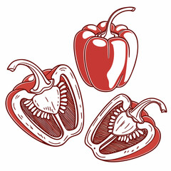 cherry pepper vector