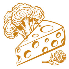 cheddar cauliflower vector