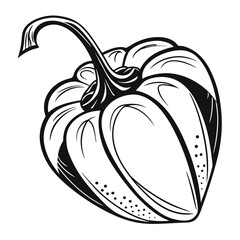 capsicum on white background 