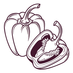 capsicum vector