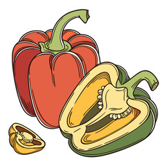 capsicum on white background 