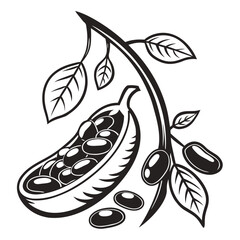 Fototapeta premium cannellini bean vector
