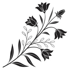 Elegant black silhouette of a bellflower branch with leaves and buds on white floral plant