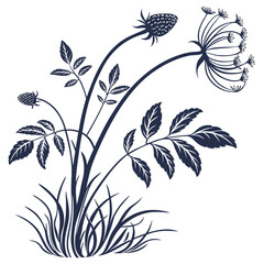 bean sprouts on white background 