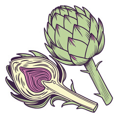 artichoke on white background 
