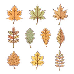 Obraz premium Autumn foliage collection featuring various deciduous leaves in a flat illustration style for seasonal design elements and decorative accents