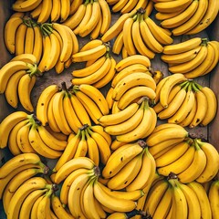 Fresh Banana Harvest: Health Benefits and Recipes