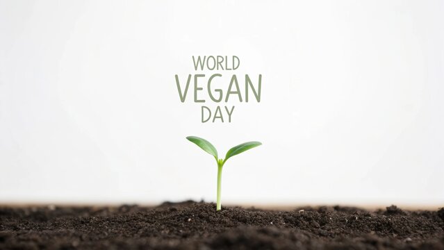 World Vegan Day 2025 A small green sprout emerges from soil, symbolizing World Vegan Day celebration.