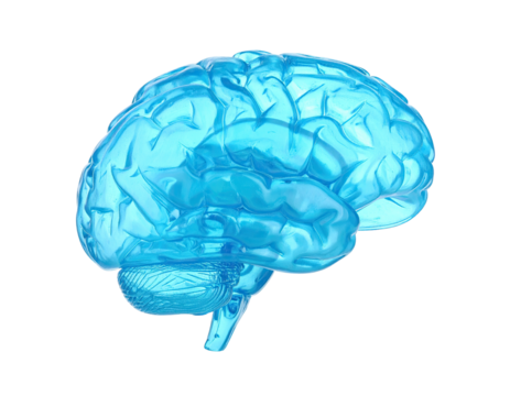 Transparent blue anatomical model of a human brain against a stark black backdrop