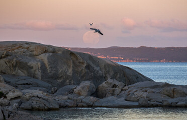 Luna piena al tramonto sul mare