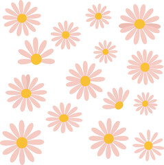 Obraz premium Delicate Pink Daisy Flowers Scattered Across a White Background.