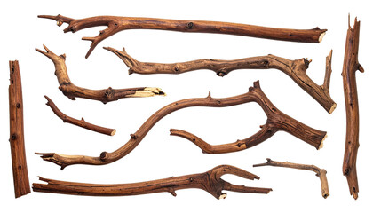 Several isolated, brown tree branches with irregular shapes on a black background