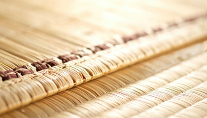 Close-up of woven, tan material with dark stitching, showcasing intricate texture