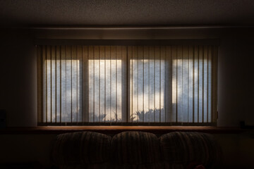 Fototapeta premium Abstract interior view of outdoor nature shadows cast onto a wide window covered with vertical blinds 
