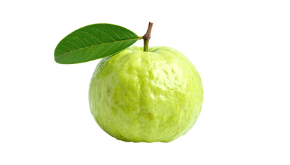 A single, green, round fruit with a leafy branch against a pure black background
