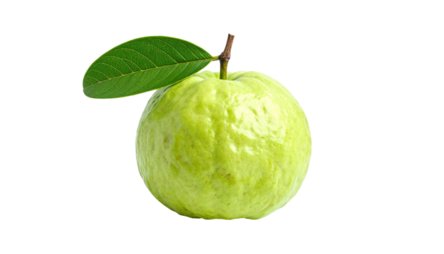 A single, green, round fruit with a leafy branch against a pure black background