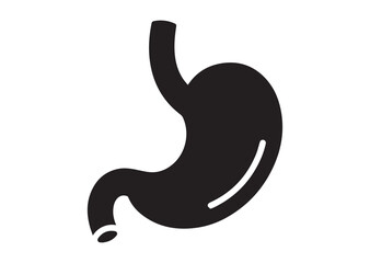 Stomach icon, Stomach solid vector