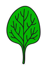 Simple cartoon illustration of a vibrant green spinach leaf with dark veins and stem on a black background